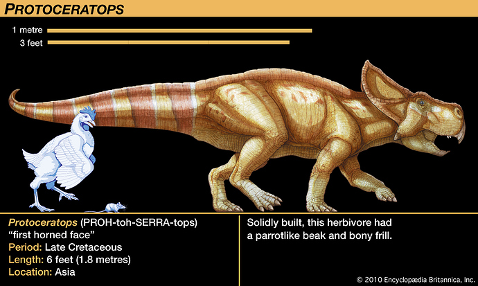 Protoceratops-plants-legs
