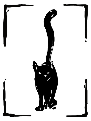 63-black-cat